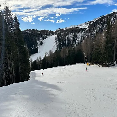 Bellavista 1400 - Val Di Sole Marilleva